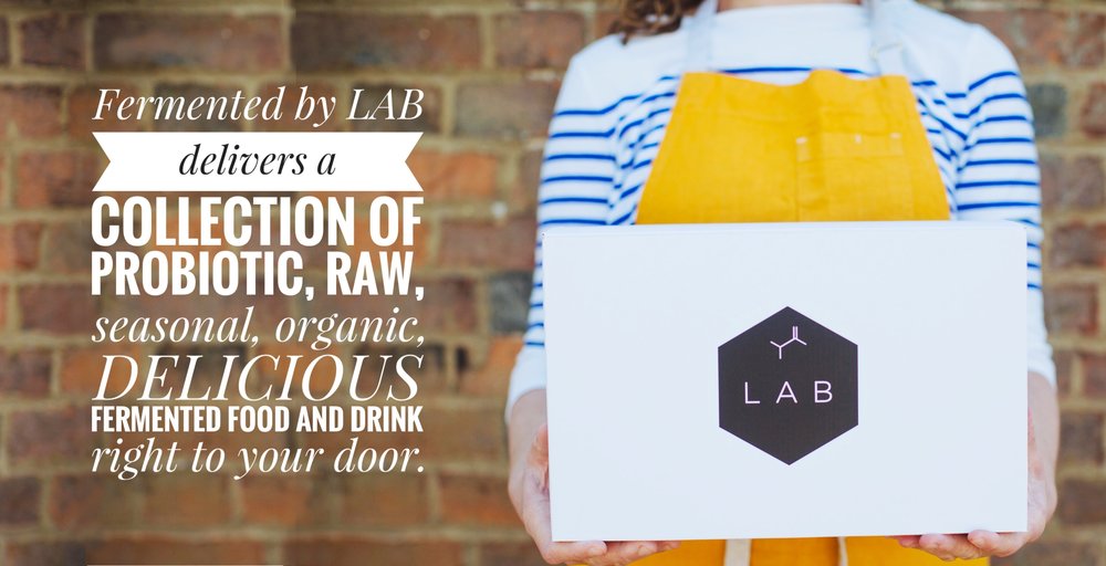 fermentedbylab.com (1)
